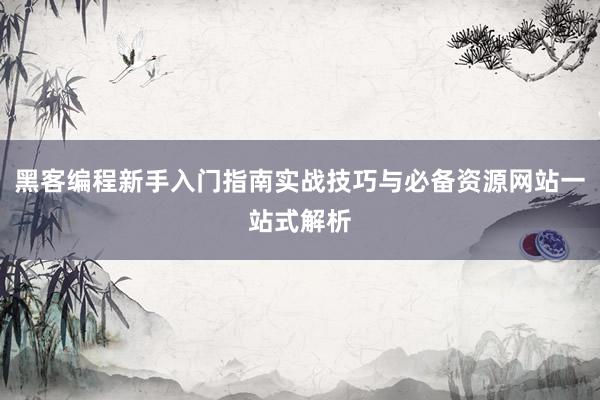 黑客编程新手入门指南实战技巧与必备资源网站一站式解析